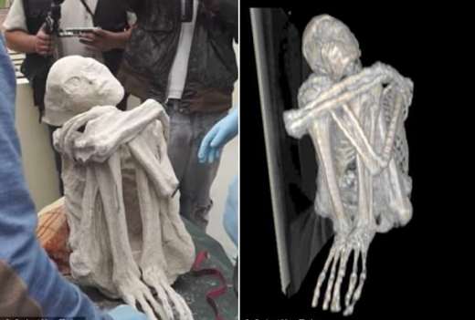 The Peruvian Nazca Alien Mummy: Unraveling the Thriller
