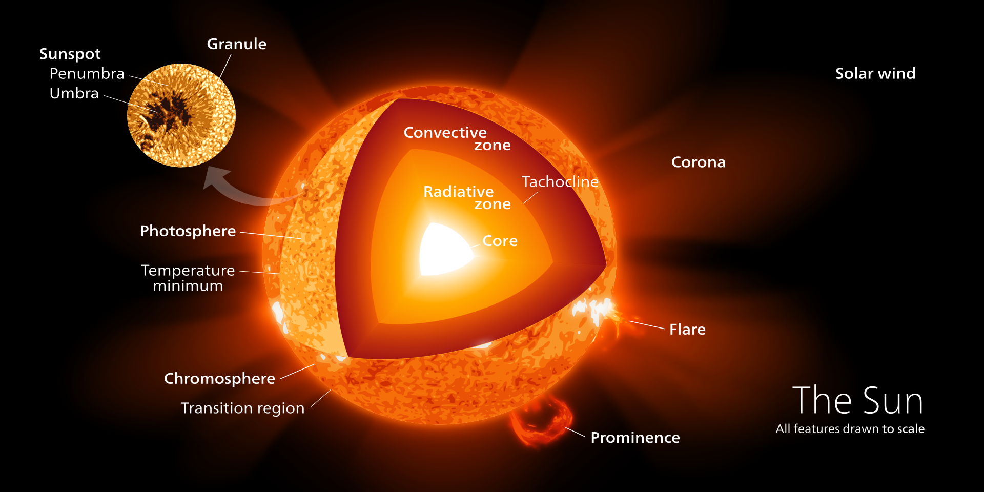 The Remaining Lifespan of the Sun: A Cosmic Perspective